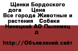 Щенки Бордоского дога.  › Цена ­ 30 000 - Все города Животные и растения » Собаки   . Ненецкий АО,Пылемец д.